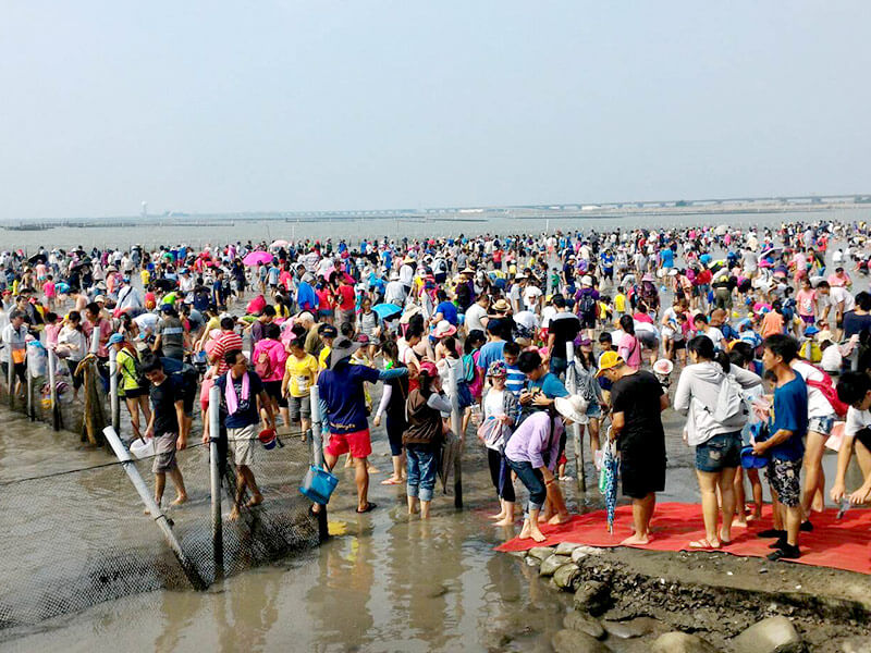 Festival Seafood Qiqu