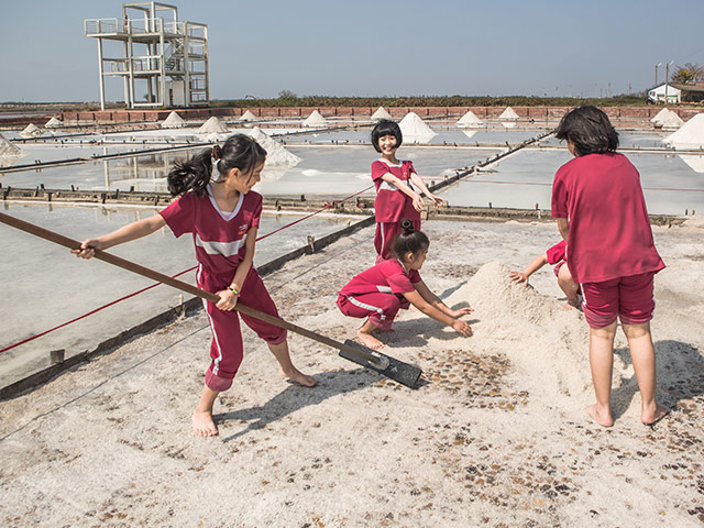 Trải nghiệm đổ muối