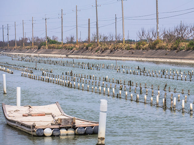Take a raft to harvest fresh oysters