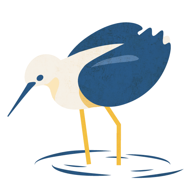 のんびりバードウォッチング-生態スローウォーク