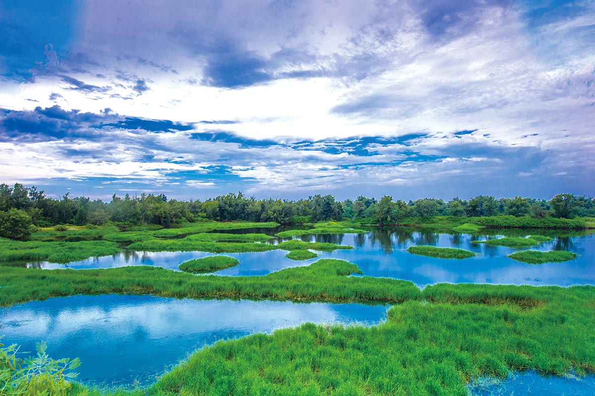 Aogu Wetlands