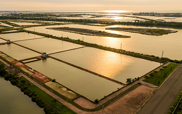 Exploring the salt fields