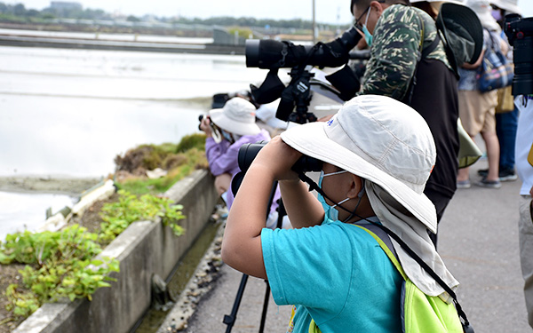 Experiencing bird watching