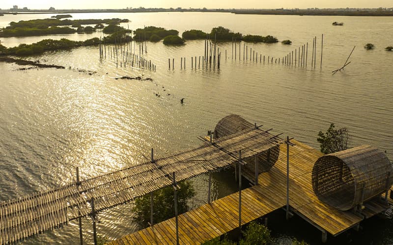 のんびりバードウォッチング-生態スローウォーク