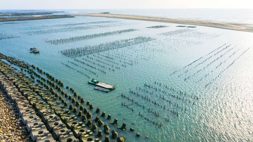 鳥瞰四湖內海