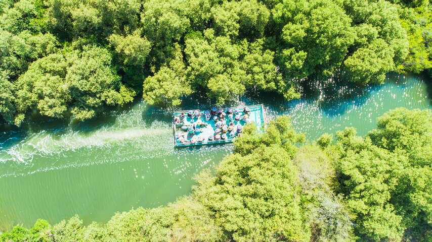 鳥瞰四草綠色隧道