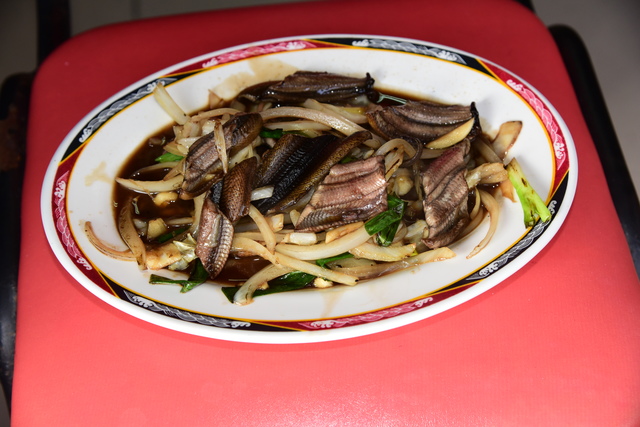 Tucheng Guo’s Field Eel Noodles