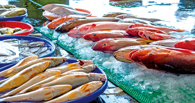 Chingshan Fishing Harbor's Fish