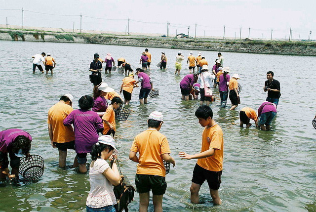 Catch Geloina Clam Experience