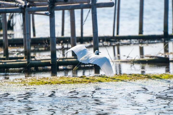 Chenglong Wetlands