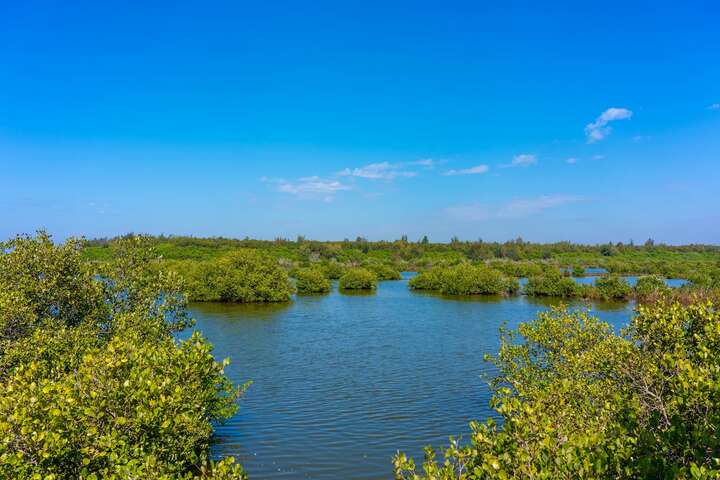 Hukou Wetlands