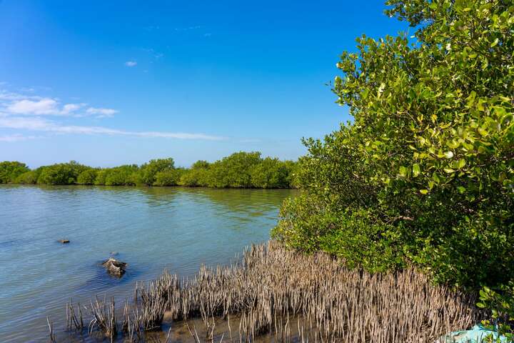 Hukou Wetlands