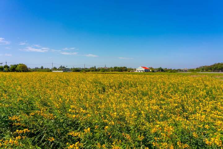 Jinhu Recreational Agriculture Area