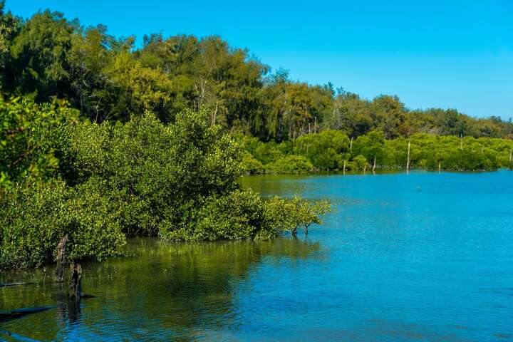 Haomeiliao Nature Reserve