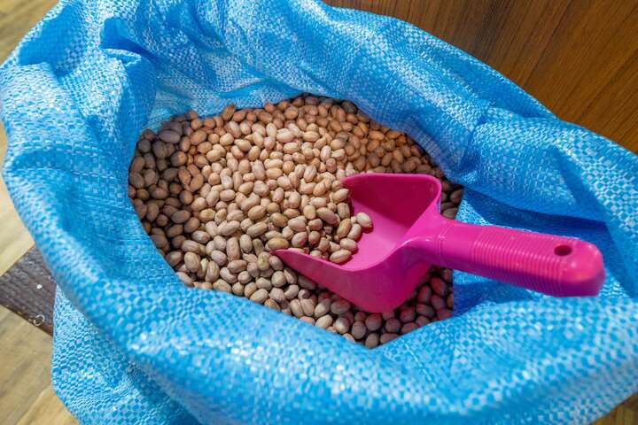 High-quality peanuts are sold in the exhibition area