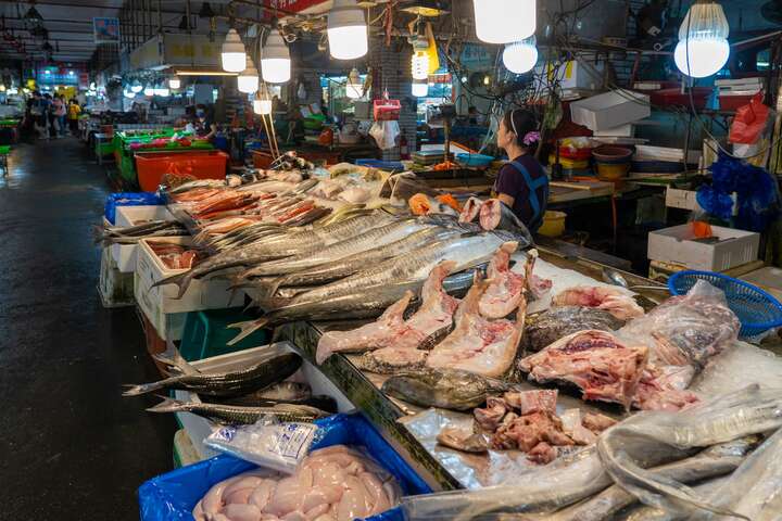 布袋の漁港-観光の魚市場