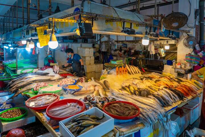 布袋の漁港-観光の魚市場
