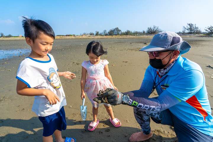 透過專業的解說，體驗無人島海灘的生態樂趣