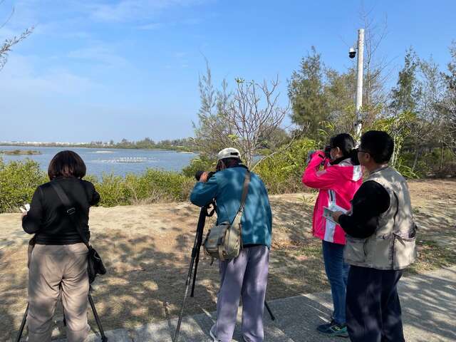 布袋候鳥季觀鳥小旅行-高雄鳥會提供