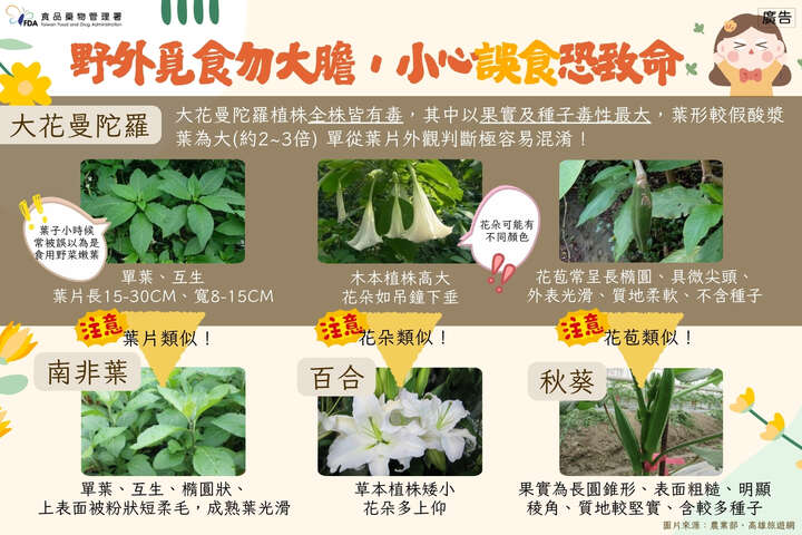「野外覓食勿大膽，小心誤食恐致命」