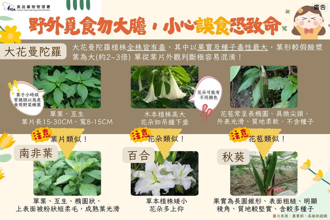 「野外覓食勿大膽，小心誤食恐致命」
