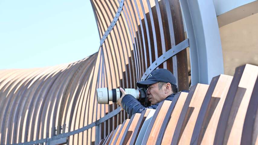 觀鳥好手專注捕捉精彩瞬間