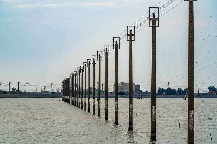 濕地與電線桿一同構成了獨特的景觀