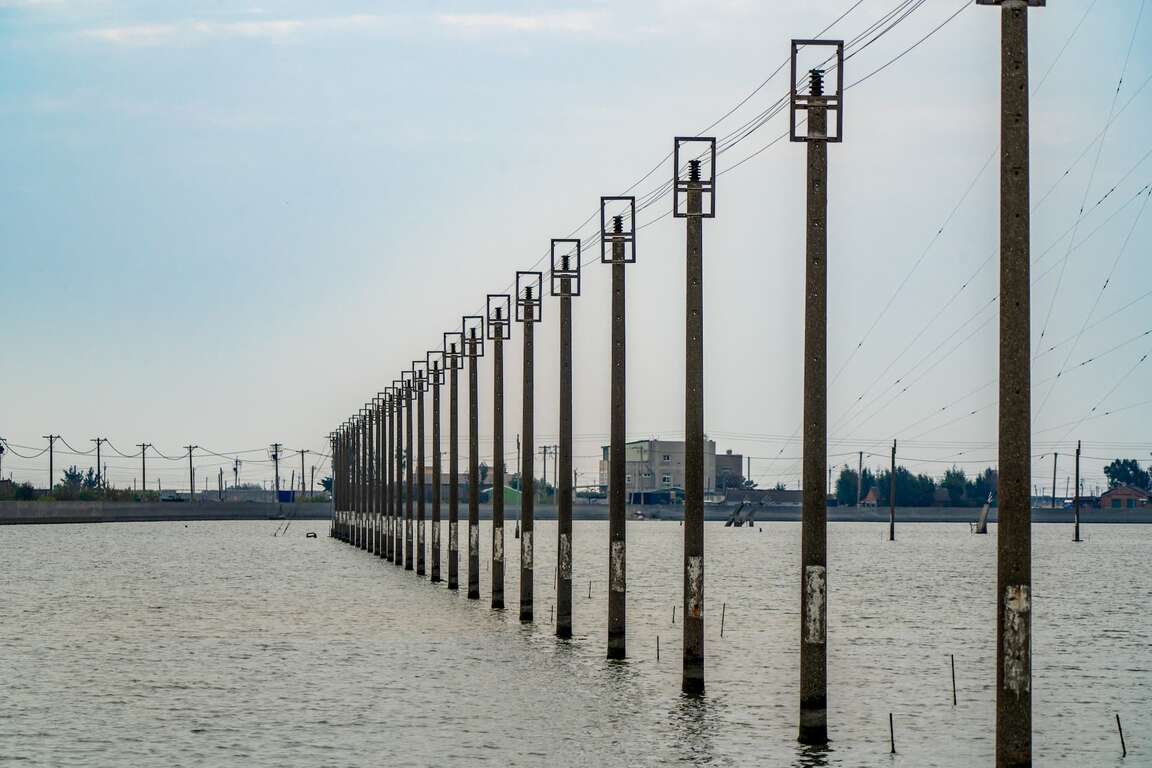 濕地與電線桿一同構成了獨特的景觀