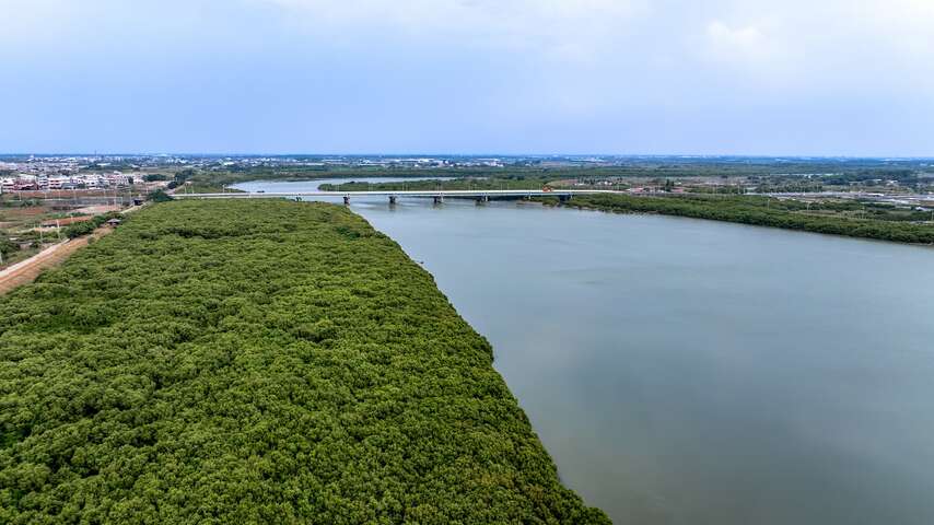 紅樹林生態公園為多種生物提供了重要的棲息地