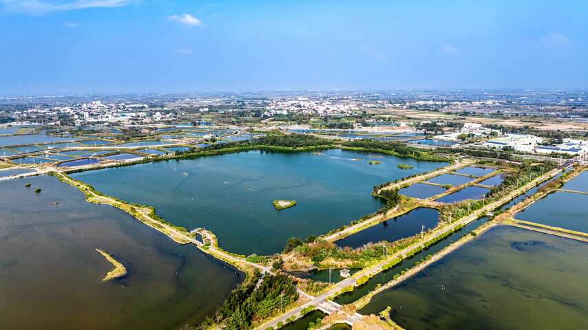 南布袋濕地位於昔日布袋鹽場的六區鹽田所在地