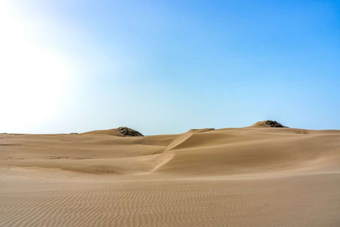 強風將沙土進一步塑造成沙丘的形態