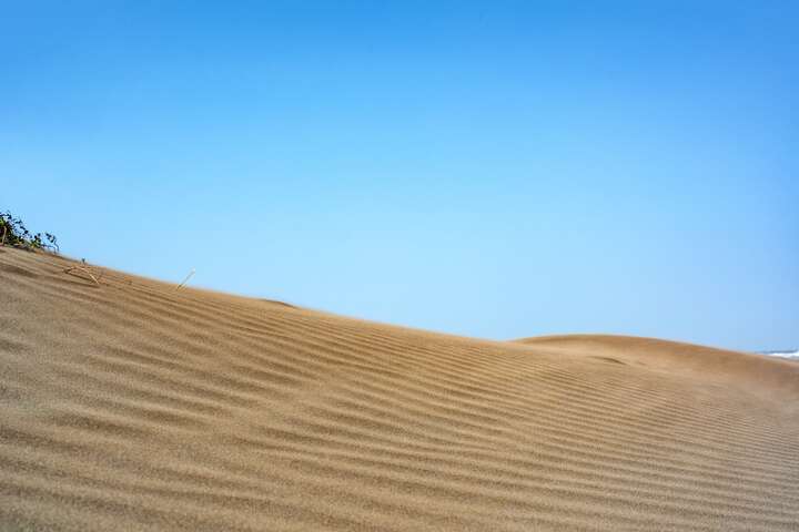 沙丘景觀會隨著季節和氣候條件而變化