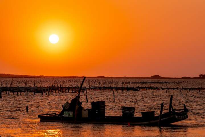 當地漁民在湖中進行蚵架、定置網養殖