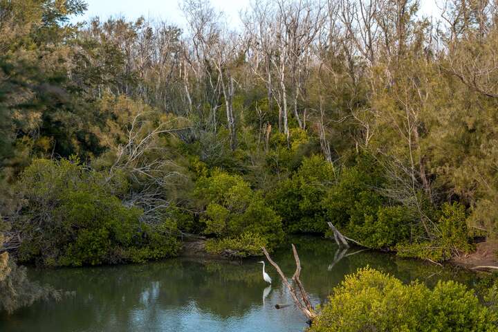 擁有豐富的濕地生態系統