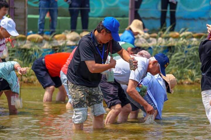 ハマグリ採り体験。