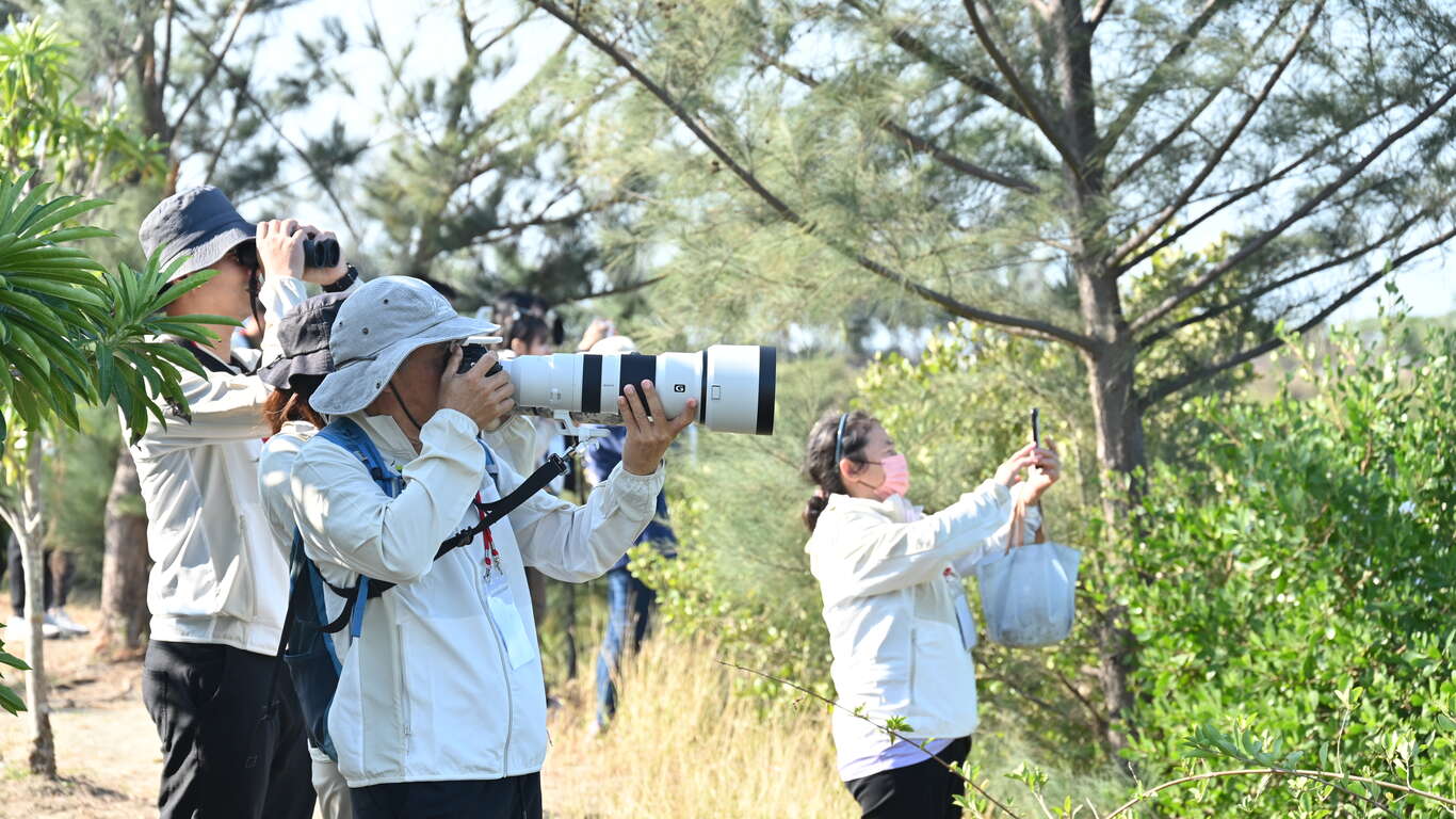 2025台灣國際觀鳥馬拉松