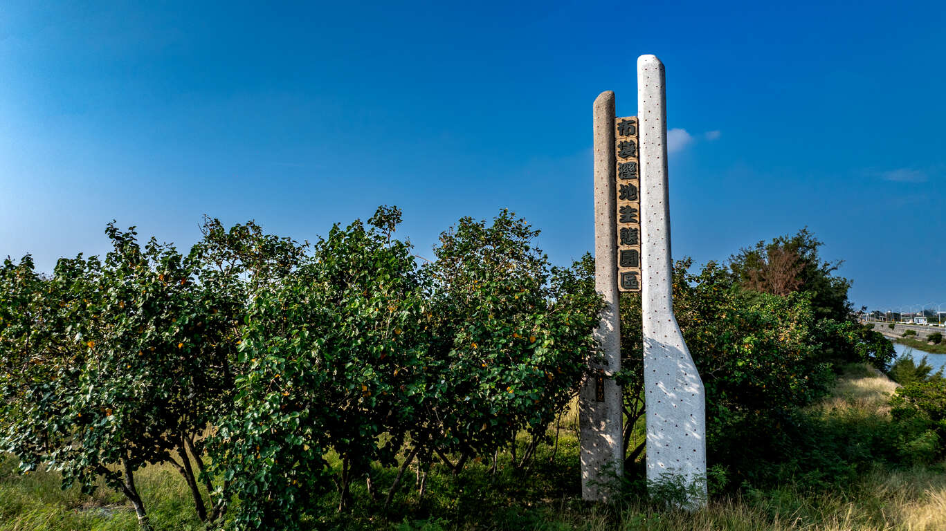 布袋濕地生態園區(南布袋濕地)