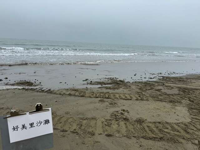114年12月4日好美里海岸清理後