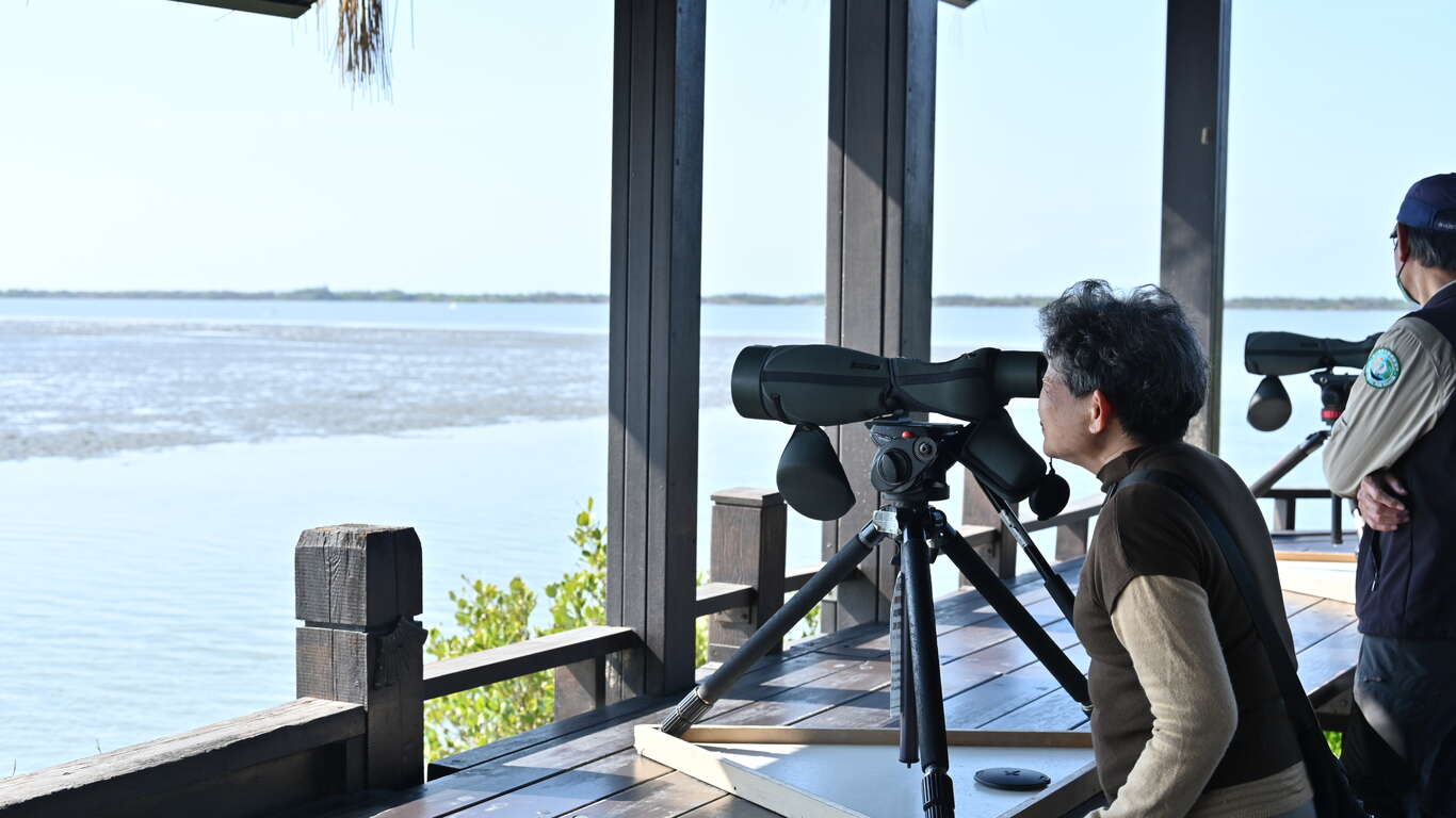 2025Taiwan Birdathon