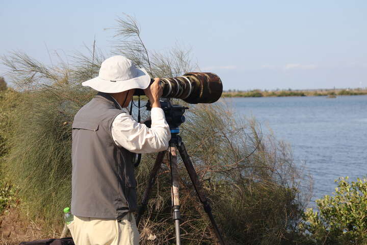2025Taiwan Birdathon