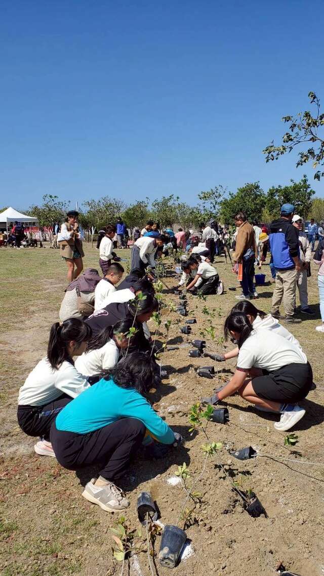 布袋國小學生植樹