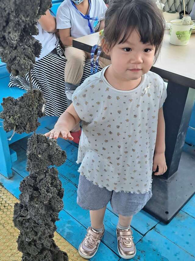 布袋海上巴士-蚵串