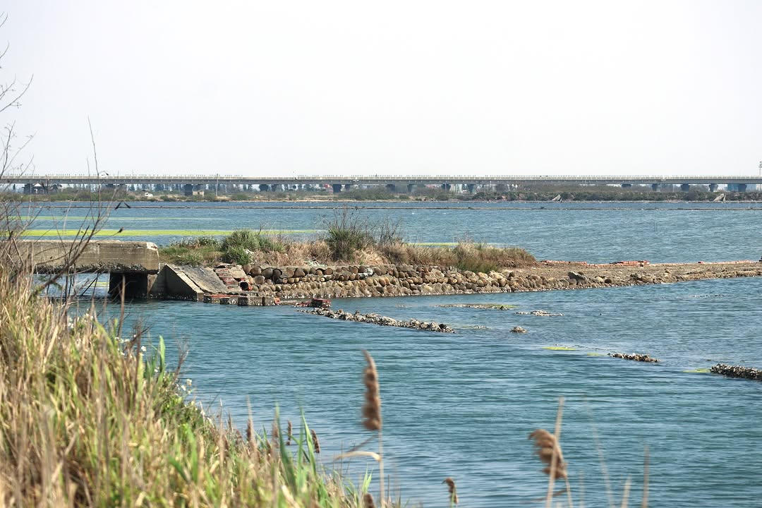 #濱海美景｜#七股鹽田濕地