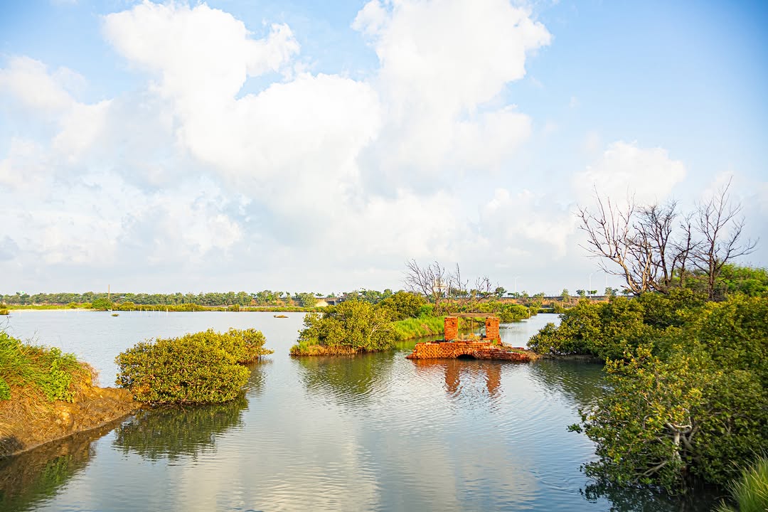 #濱海美景｜朝陽 